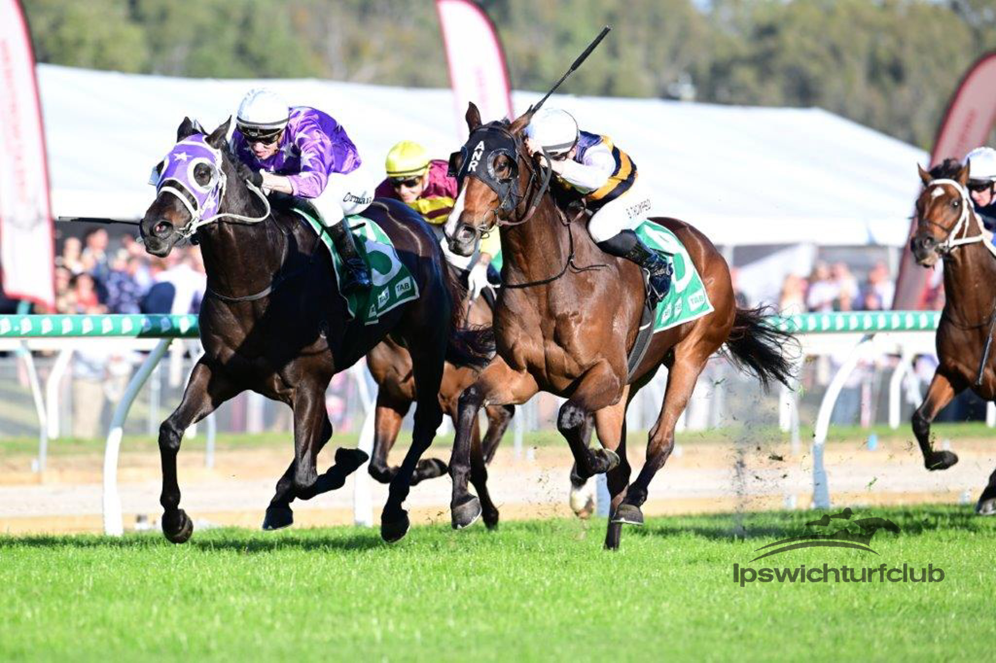 Ipswich Cup – it's back!