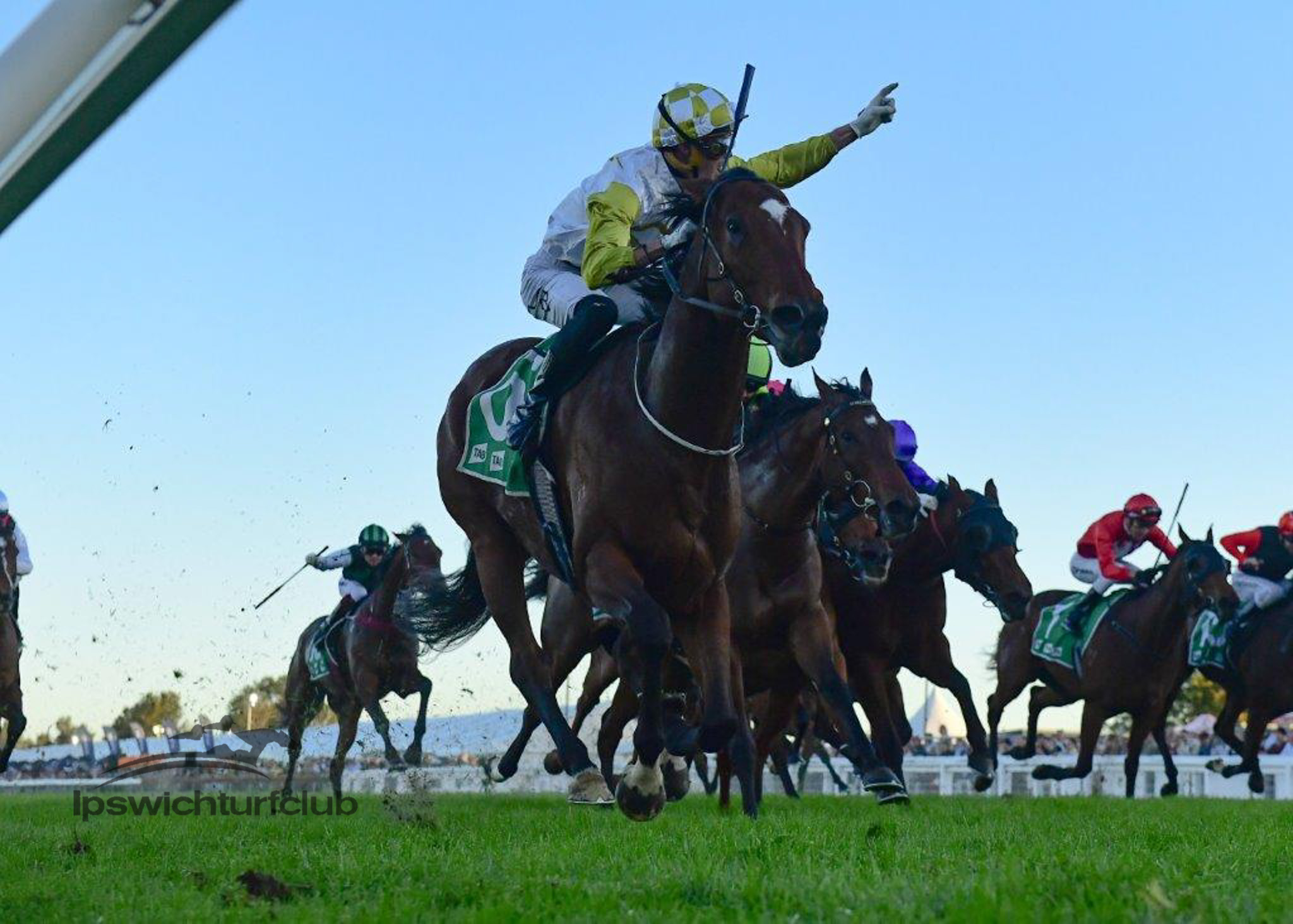 Ipswich Hoop’s Emotional Win