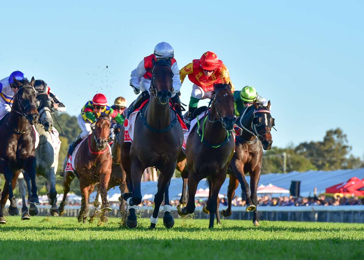 A great night out at the TAB Ipswich Cup Calcutta!