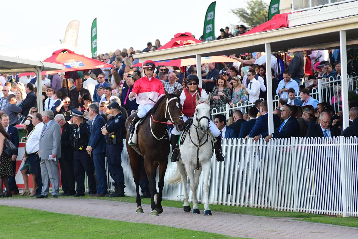 Ipswich Winter Racing Carnival Launch