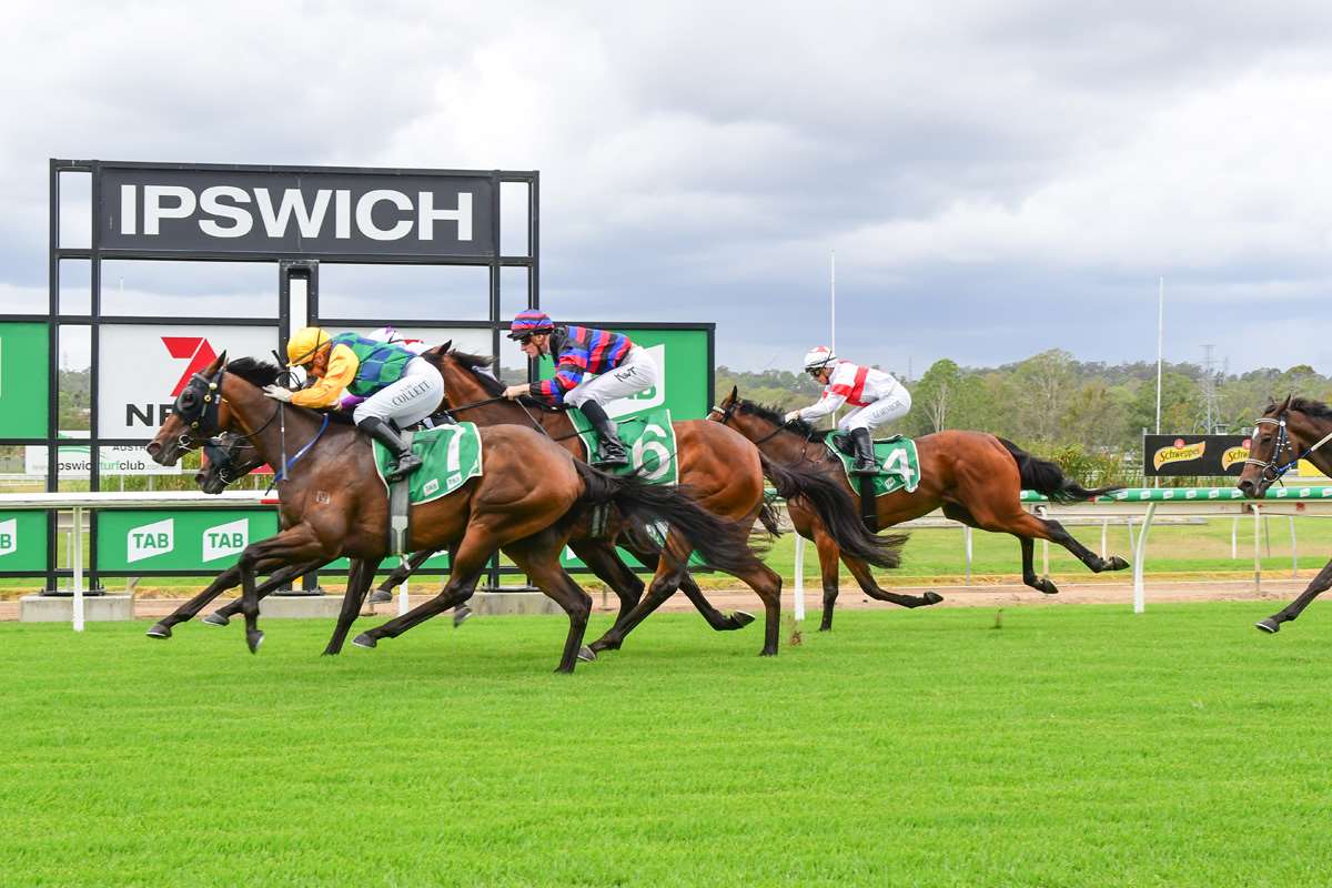 Ipswich Preview and Selections 10 March 2023
