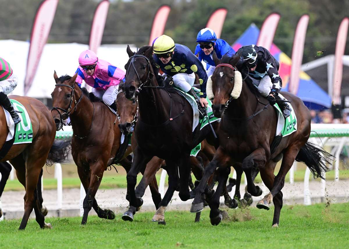 Flash Aah by a stride