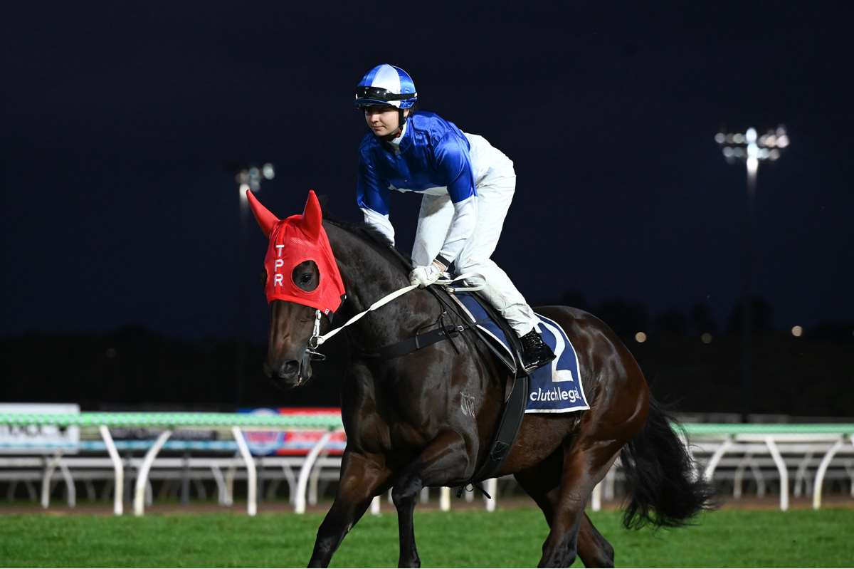 Pollard’s dual Ipswich attack
