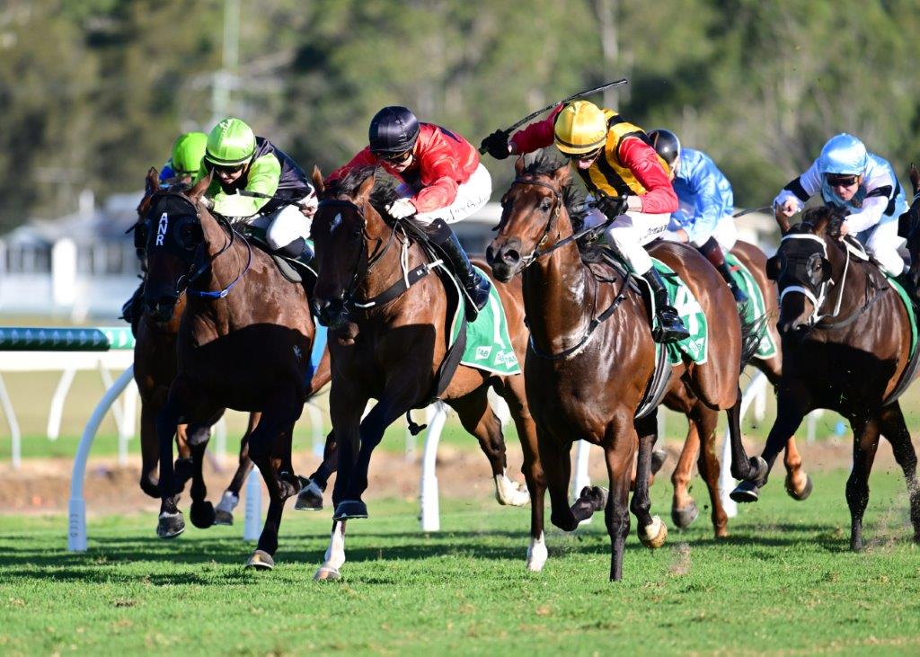 Ipswich Preview and Selections 28 April 2023