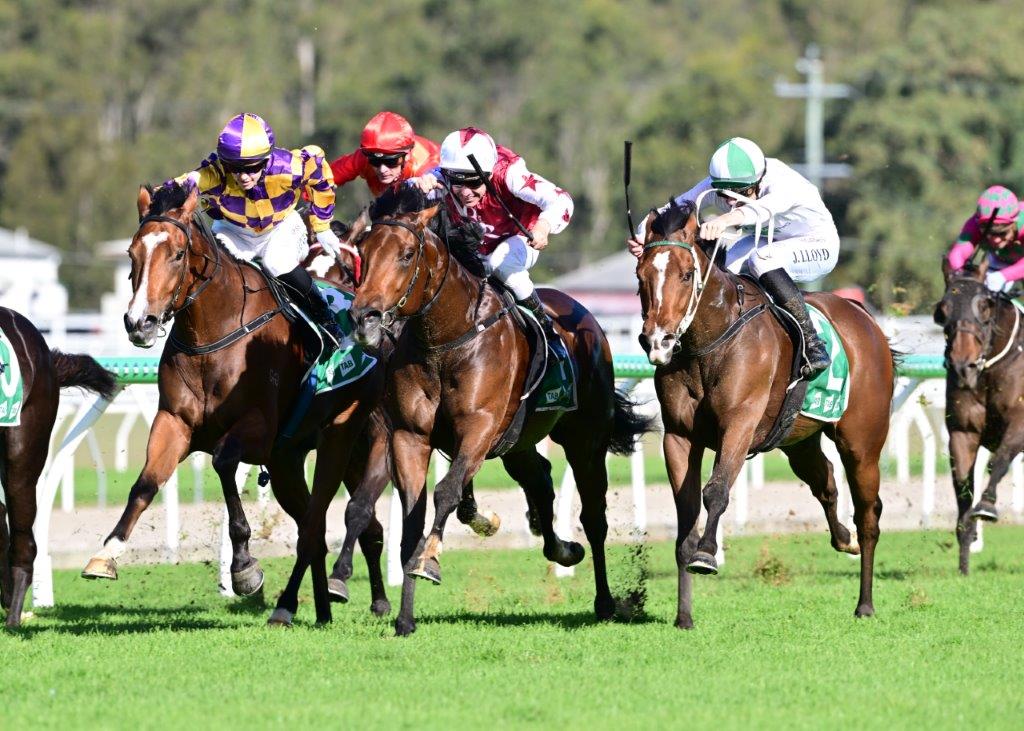 Queensland carnival contenders unveiled