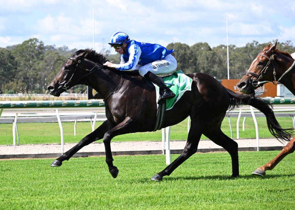 Wednesday racing spoils shared