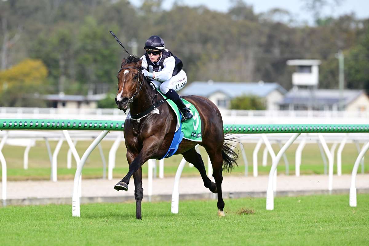 Wednesday racing review