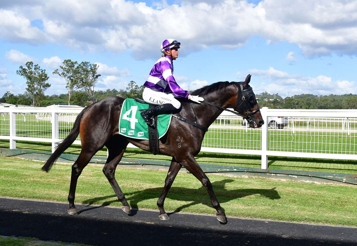 National Thoroughbred Week