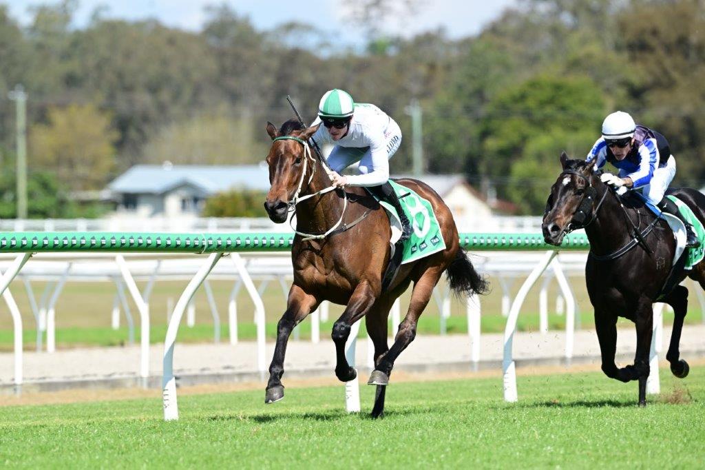 Lloyd bookends the day