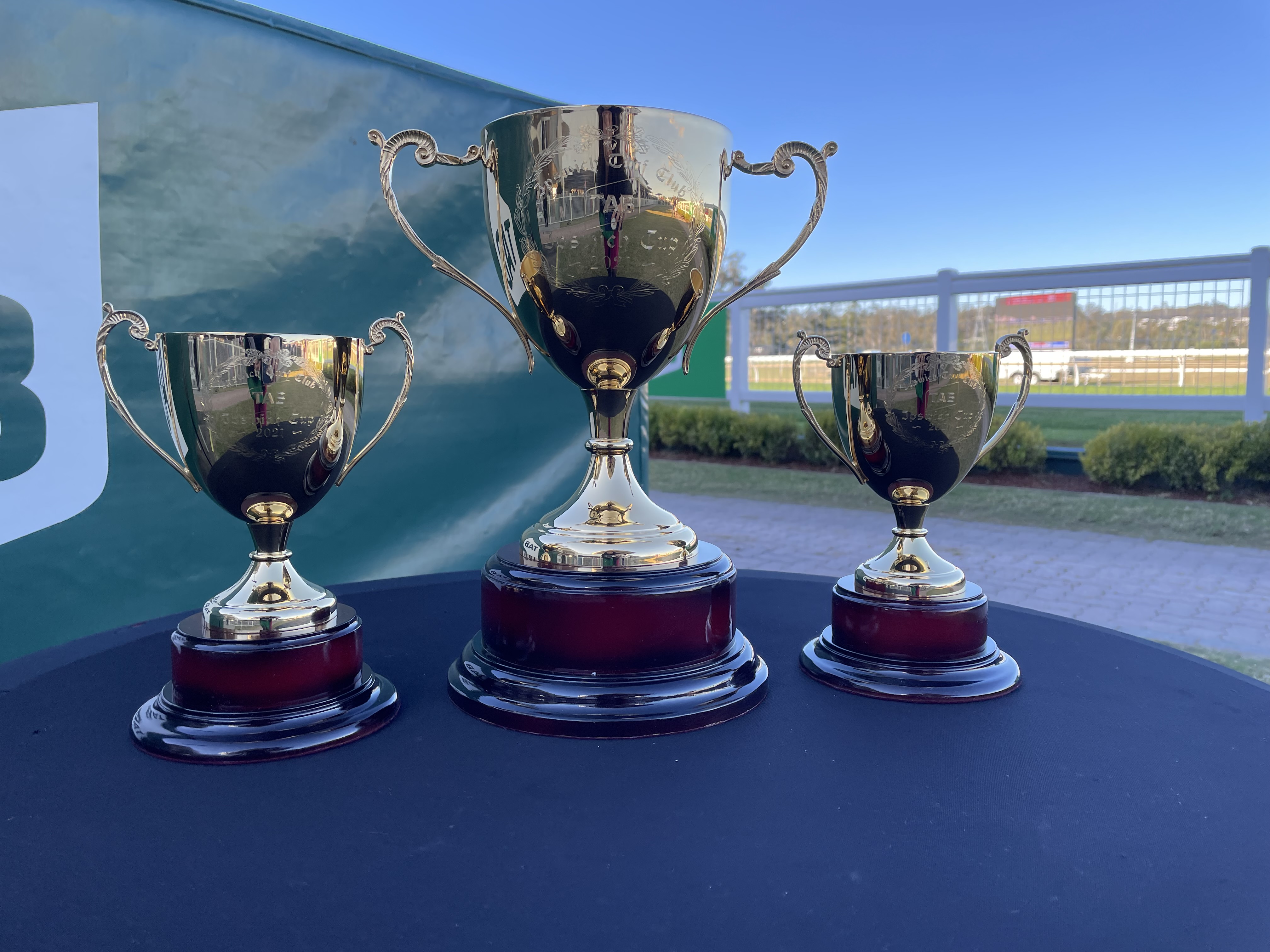 TAB Ipswich Cup Day Preview - 18 June 2022