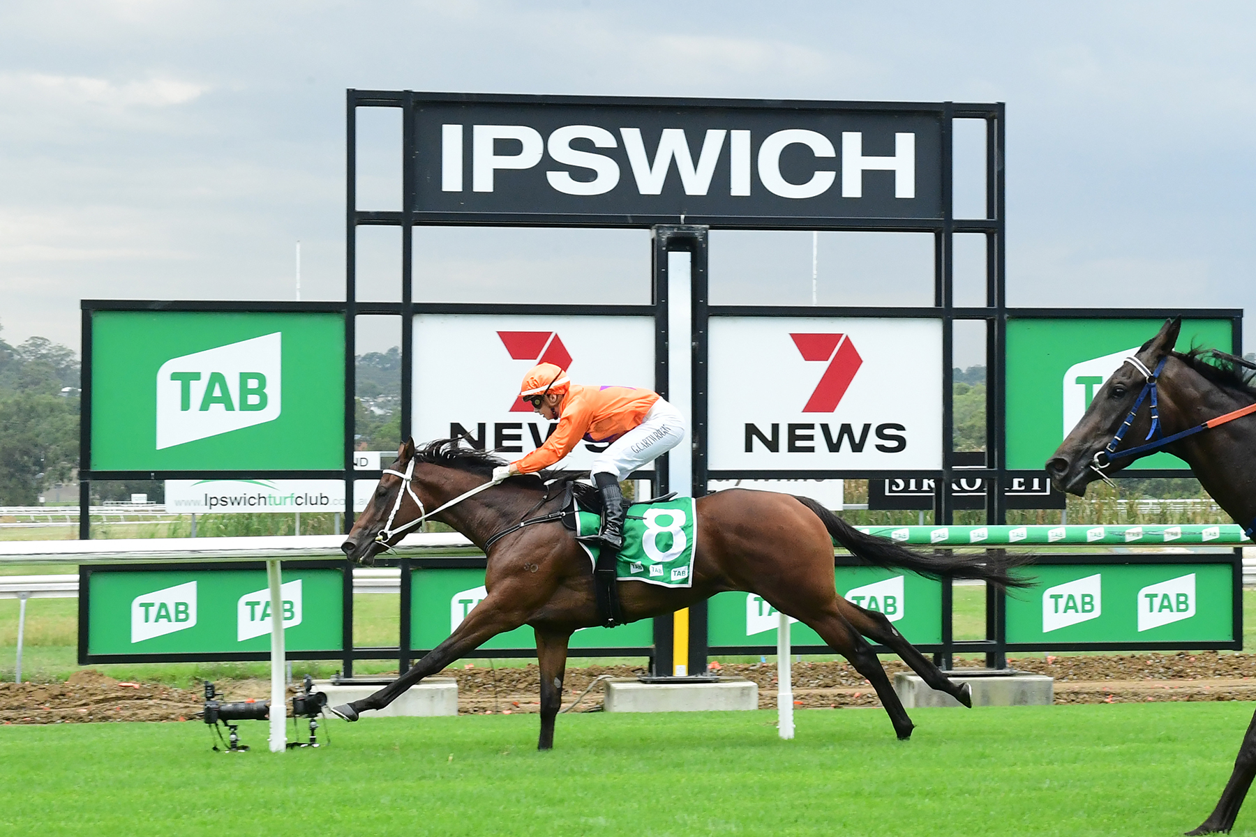 Former harness trainer dreaming for Group 1 gallops glory