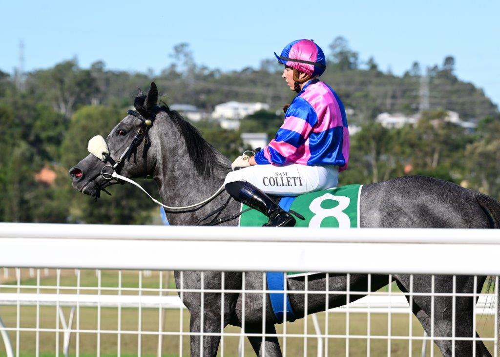 Ipswich Preview and Selections 6 May 2023