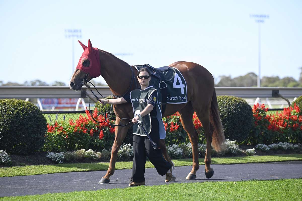 Higher metro aims for Precise Star