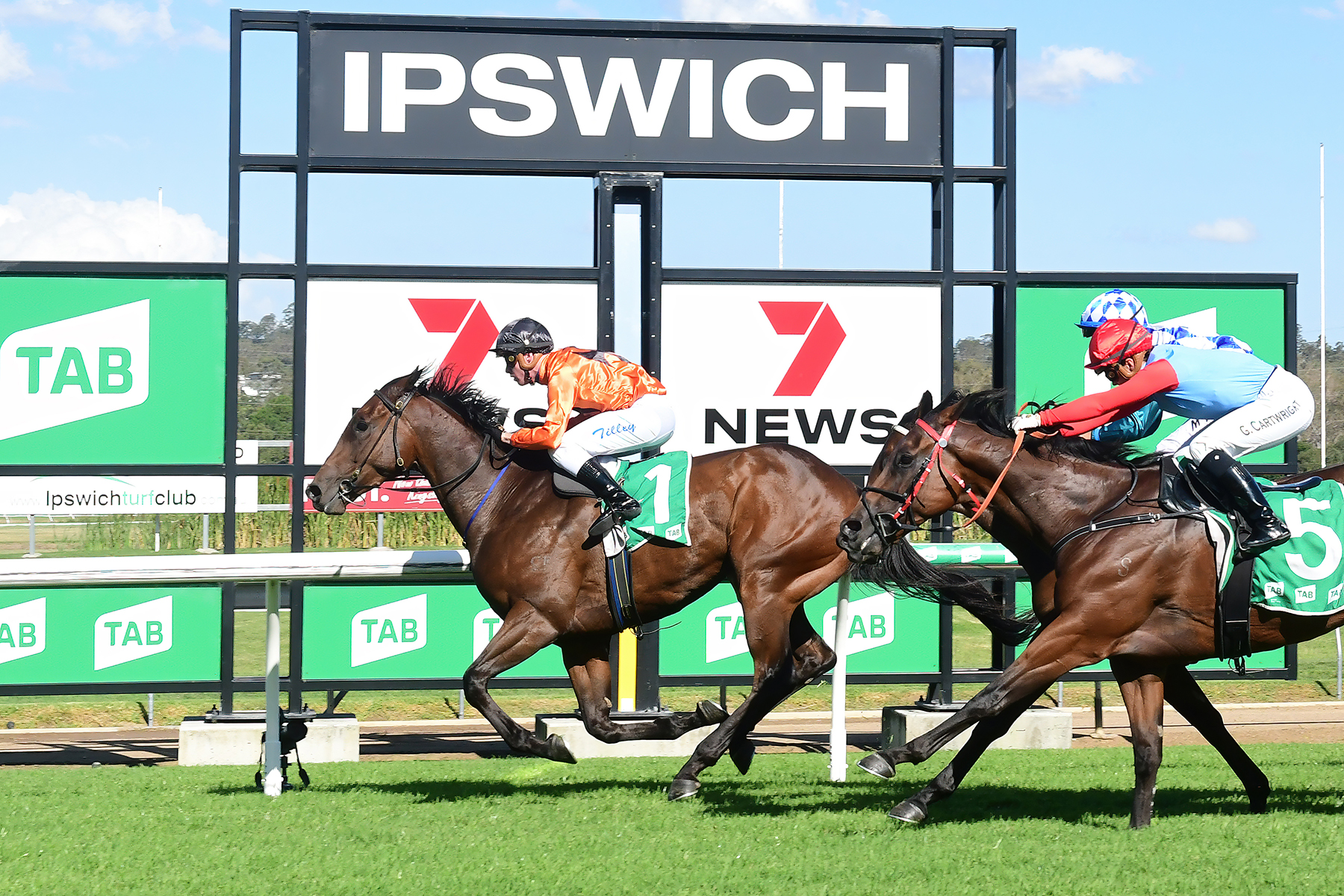 Ipswich Preview And Selections 22 December 2022
