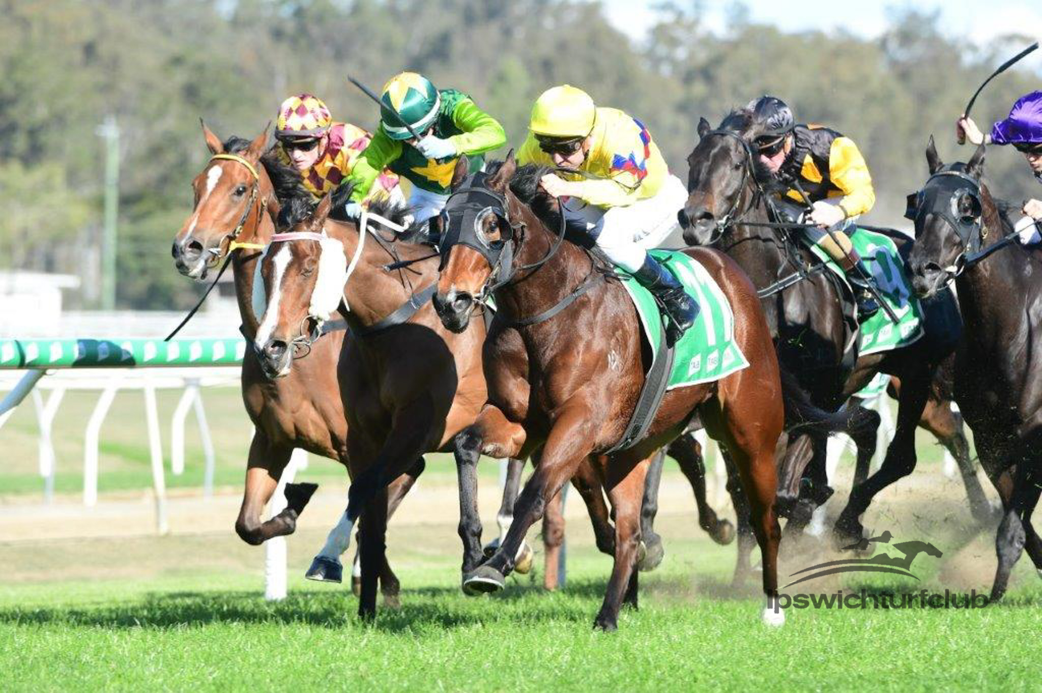 Ipswich Preview And Selections 24 August 2022