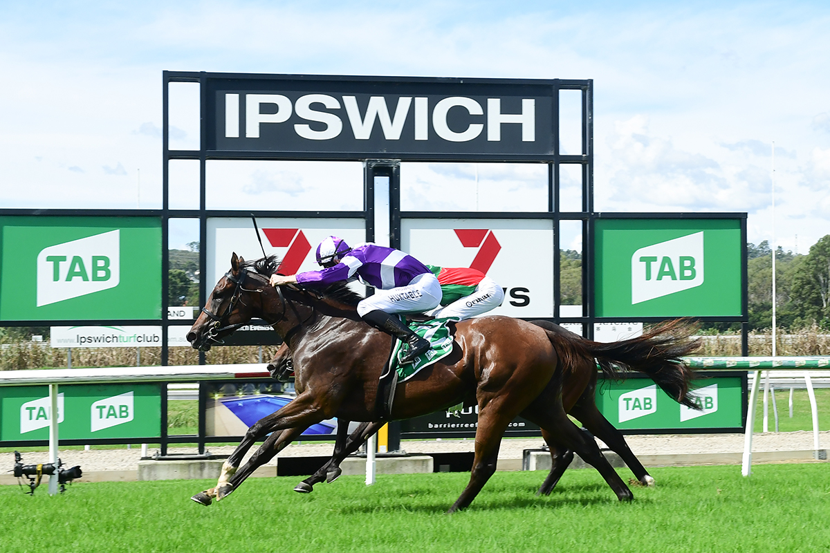 Ipswich Preview – Wednesday 1 May 2024