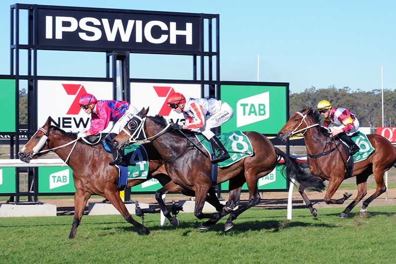 Ipswich 2018/19 Premierships announced