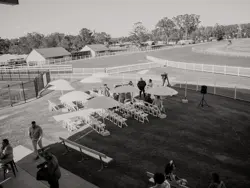 Fashions on the Field