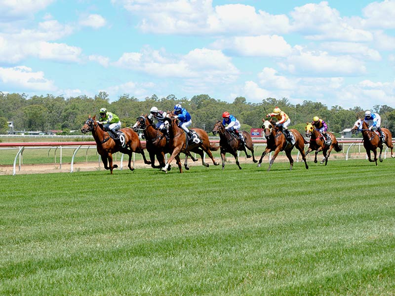 Brisbane Races at Ipswich Turf Club Calendar of Racing